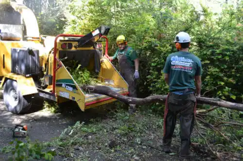 tree services Rigby